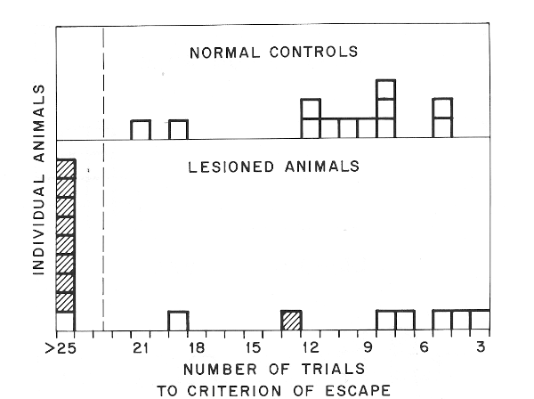 Distribution of escape performance