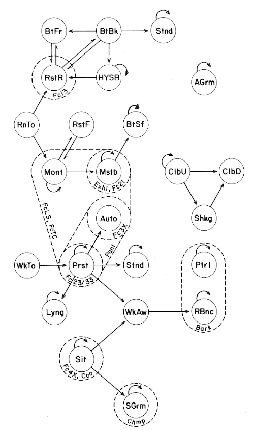 within-animal sequences - dominant