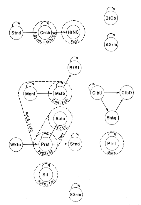 within-animal sequences - subordinate