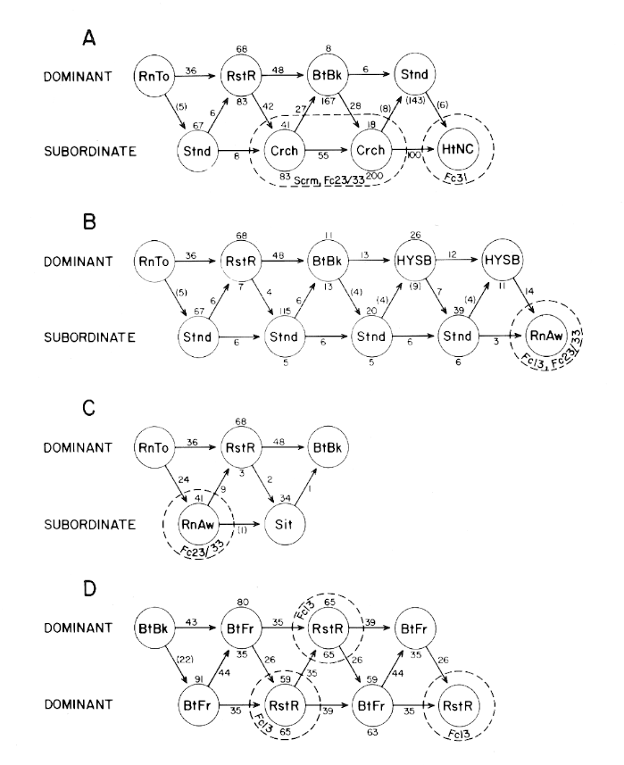 between-animal sequences of offense, defense and submission