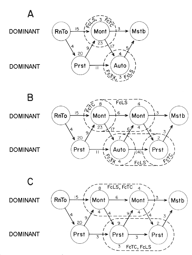 sexual behavior between dominants