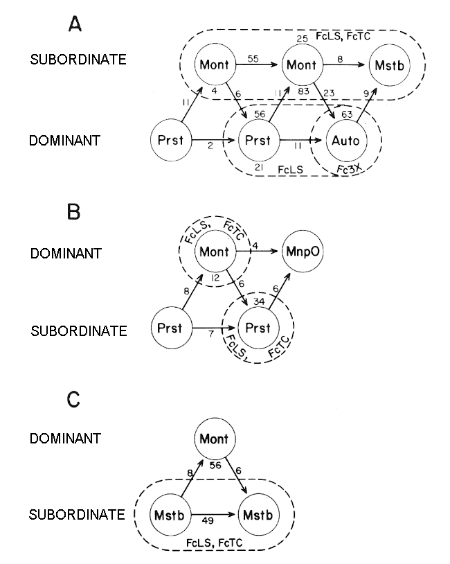 sexual behavior between a dominant and a subordinate