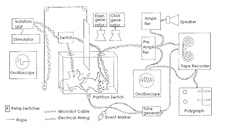 schematic view